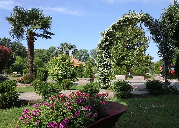 Archontiko Driani Διαμέρισμα